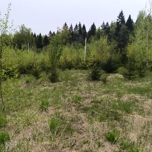 Сергиев Посад Участок