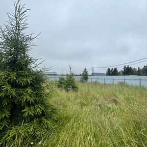 Сергиев Посад Участок
