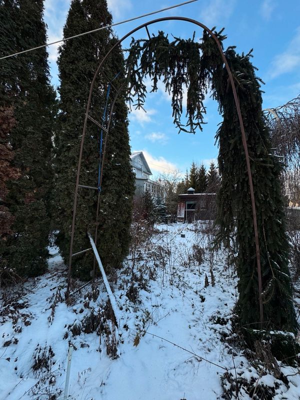 Александров Дом