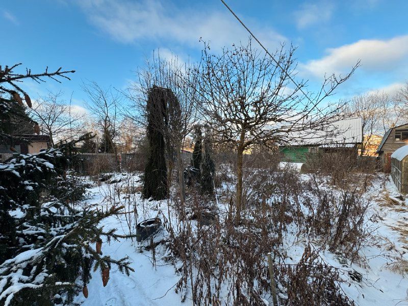 Александров Дом