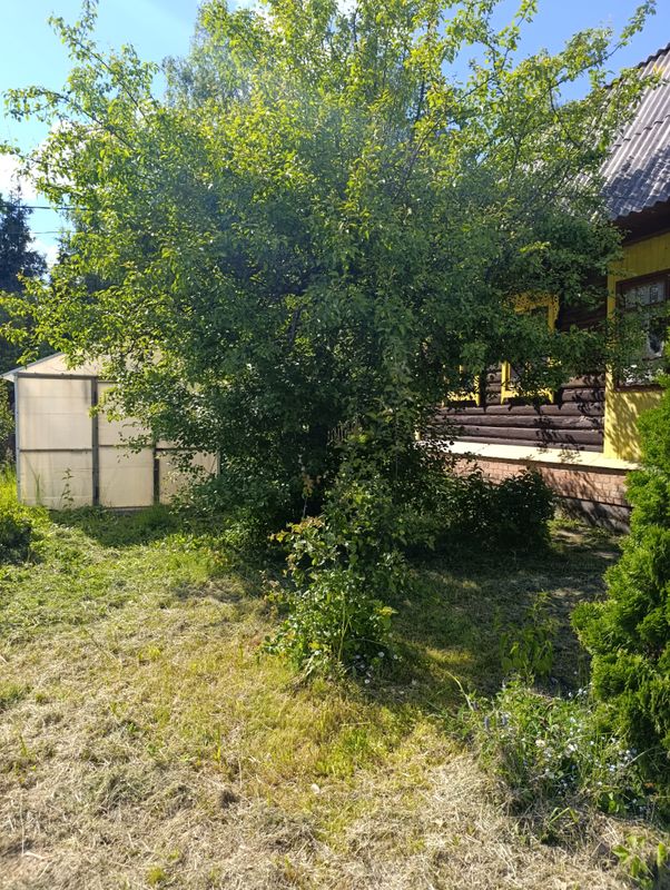 Сергиев Посад Дача