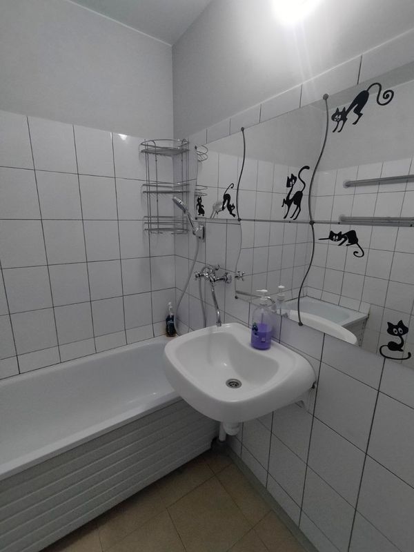 Королев Квартира