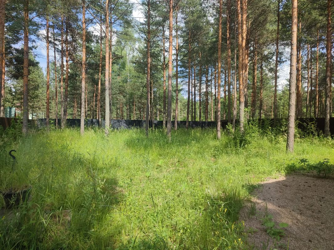 село Купанское Дом