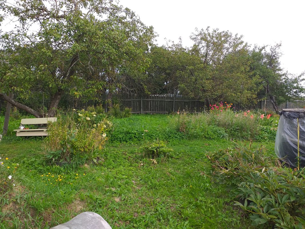 деревня Василево Дом