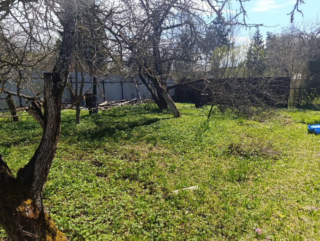Клин Дом