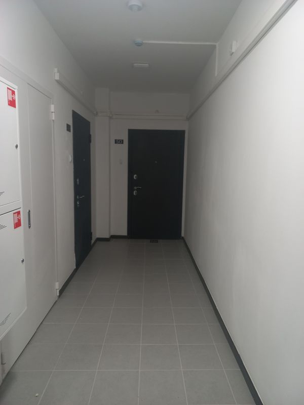 Пушкино Квартира