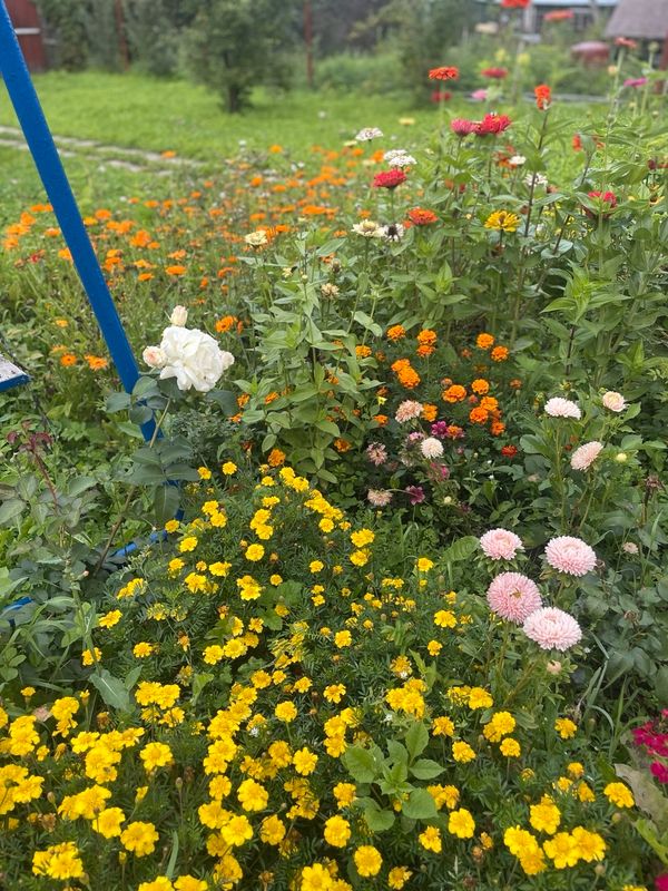 Сергиев Посад Дом