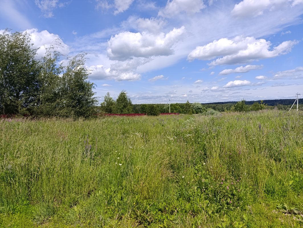 Москва и МО, Московская обл, Сергиев Посад, Сергиев Посад деревня Алексеево; Участок на участке 25 сот.