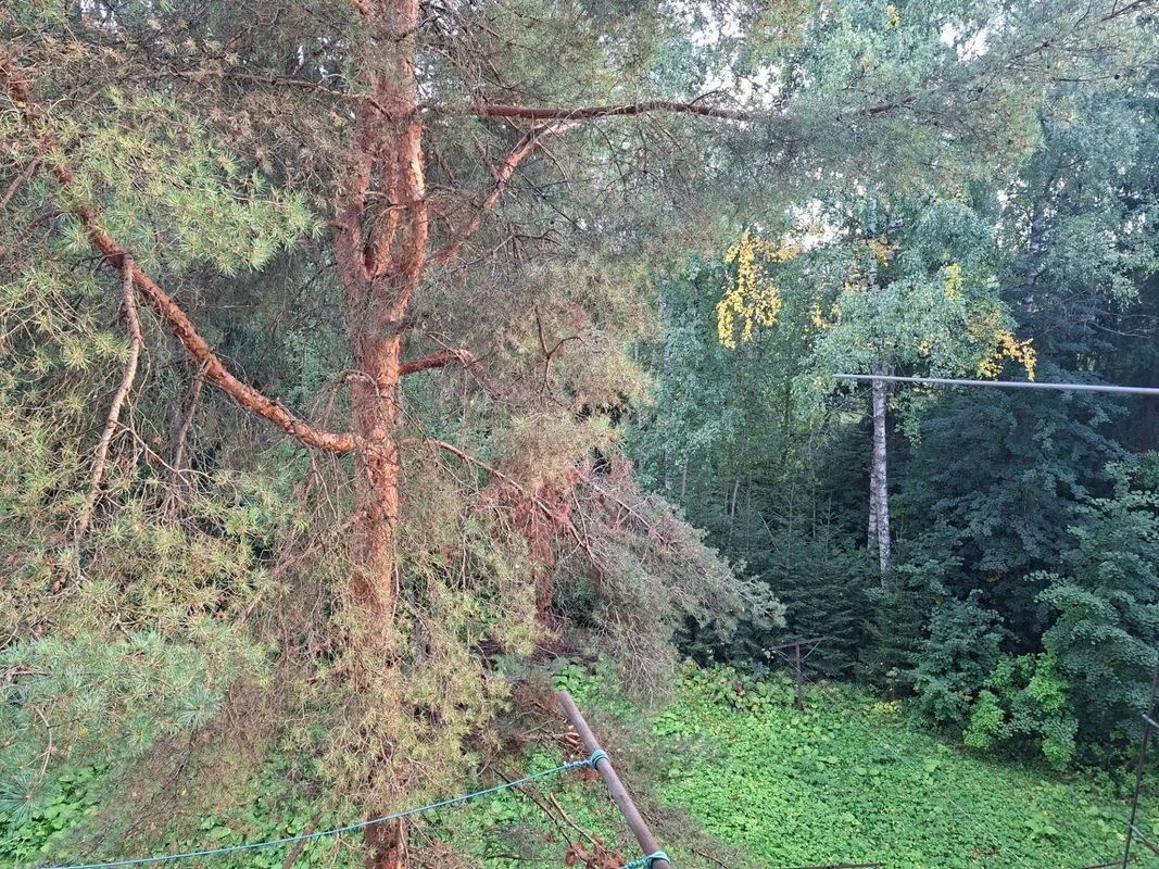 Сергиев Посад Квартира