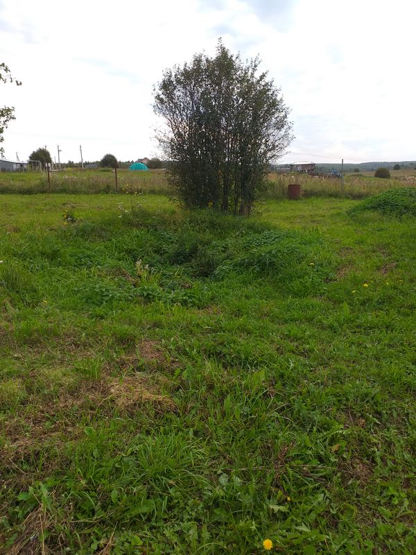 деревня Василево Дом