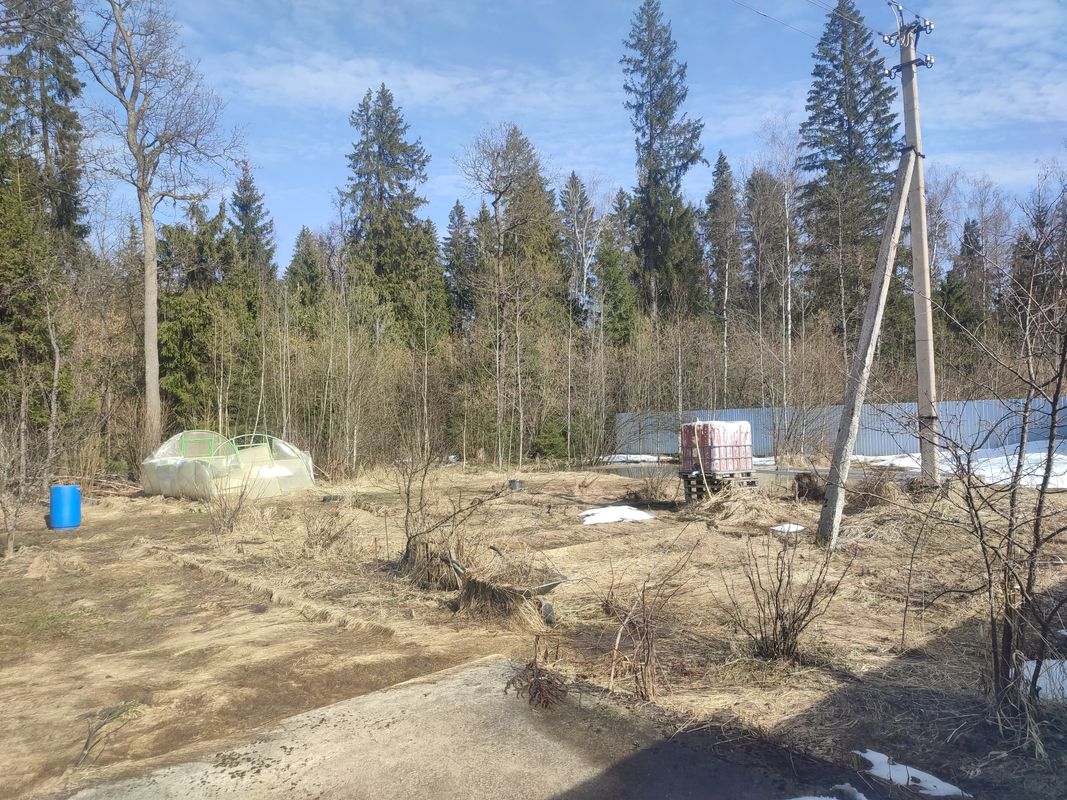 Пушкино Дом