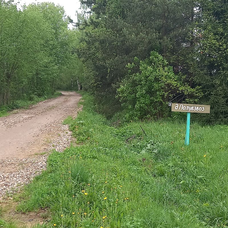 деревня Полувзвоз Дом
