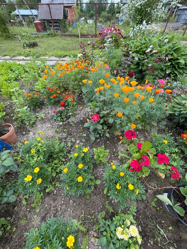 Сергиев Посад Дом