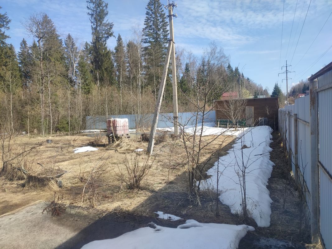 Пушкино Дом