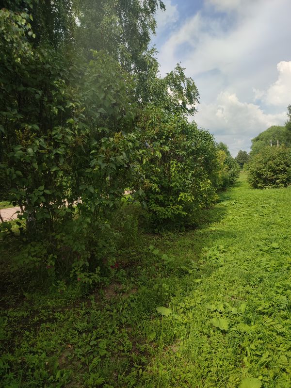 село Иванисово Участок