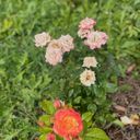 Сергиев Посад Дом