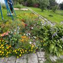 Сергиев Посад Дом