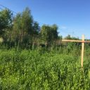 Сергиев Посад Участок
