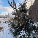 Александров Дом