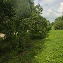 село Иванисово Участок